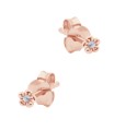 Mini Flower CZ Silver Stud Earring STS-6677